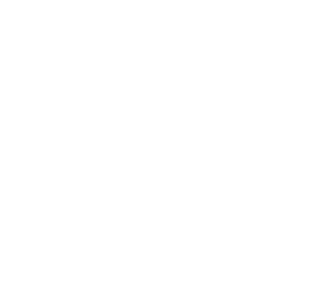 3D shield security mark